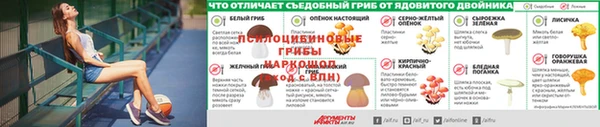 тгк Арсеньев