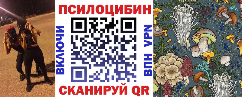 продажа наркотиков  Строитель  Псилоцибиновые грибы GOLDEN TEACHER 
